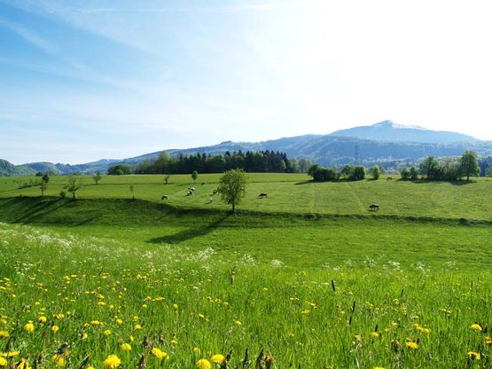 Salzburg Ferienwohnung