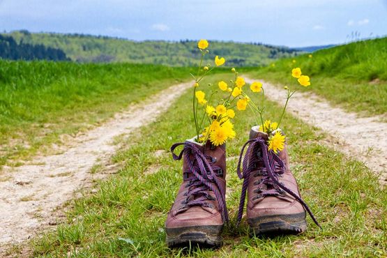 wandern Salzburg Ferienwohnung